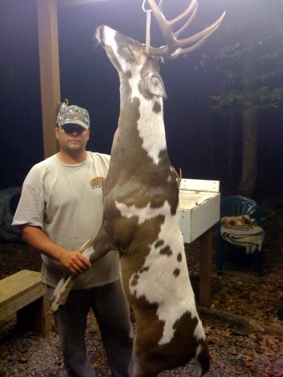 Nice piebald buck taken in Gurdon AZ (pix) New Jersey Hunters